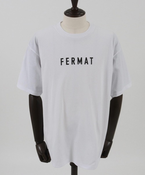 THEOREM(セオレム)の「mt8985- FERMAT Tee Tシャツ(Tシャツ/カットソー・メンズ・ホワイト×グリーン/ホワイト×ブラック/ホワイト系その他/ホワイト×ブラウン・S/M/L/XL/XS/XXL)」の12枚目の写真