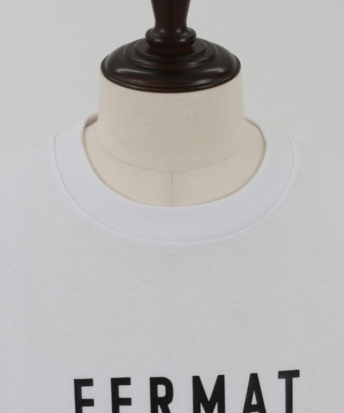 THEOREM(セオレム)の「mt8985- FERMAT Tee Tシャツ(Tシャツ/カットソー・メンズ・ホワイト×グリーン/ホワイト×ブラック/ホワイト系その他/ホワイト×ブラウン・S/M/L/XL/XS/XXL)」の10枚目の写真