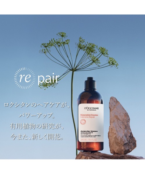 L'OCCITANE（ロクシタン）の「インテンシヴリペア シャンプー(レフィル) 500mL 詰め替え用 大容量（シャンプー・レディース・その他・FREE）」の8枚目の写真