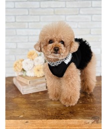 ペットウェア 犬服 ドッグウェア ワンピース」に該当するペットグッズ