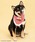 SPINNS�i�X�s���Y�j�́u�wTHE DOG ���e�x �o���_�i�i�o���_�i/�X�J�[�t�j�v�b���b�h