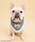 SPINNS�i�X�s���Y�j�́u�wTHE DOG ���e�x �o���_�i�i�o���_�i/�X�J�[�t�j�v�b�u���b�N