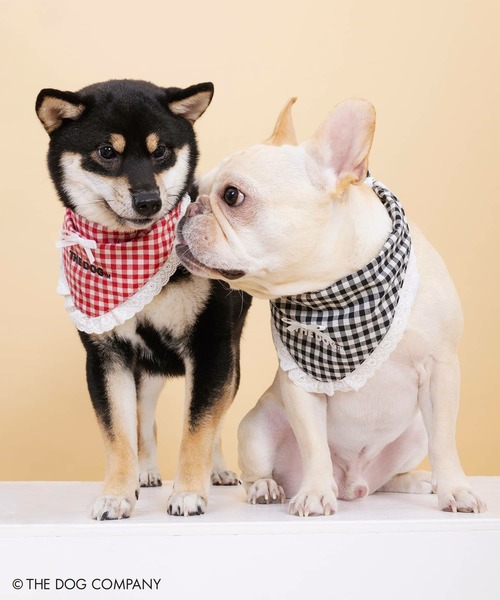 SPINNS（スピンズ）の「『THE DOG 第二弾』 バンダナ（バンダナ/スカーフ・レディース・ブラック/レッド・ONESIZE）」の20枚目の写真