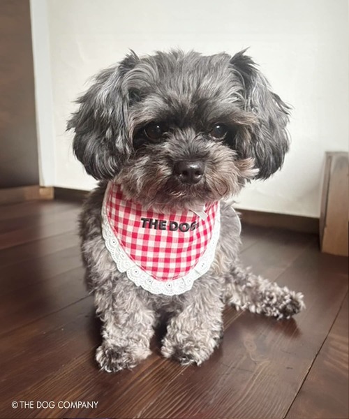 SPINNS（スピンズ）の「『THE DOG 第二弾』 バンダナ（バンダナ/スカーフ・レディース・ブラック/レッド・ONESIZE）」の21枚目の写真