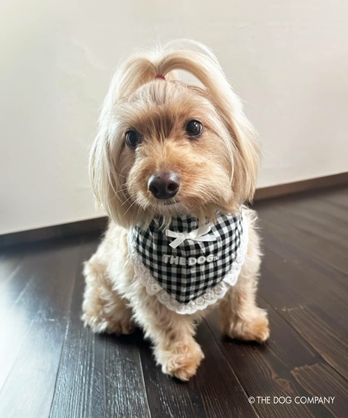 SPINNS（スピンズ）の「『THE DOG 第二弾』 バンダナ（バンダナ/スカーフ・レディース・ブラック/レッド・ONESIZE）」の22枚目の写真