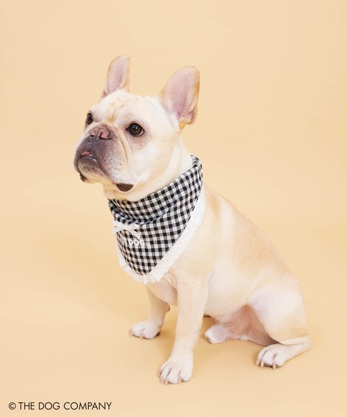 新品未開封 劇団イヌカレー缶全3種・バンダナ ポメロメコ展グッズ 新品未開封 劇団イヌカレー缶全3種・バンダナ ポメロメコ展