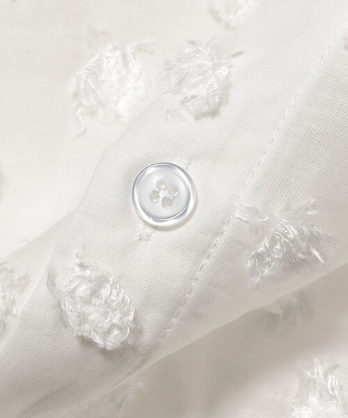 Sister Jane ブラウス　シャツ　総レース　新品 Sister Jane(シスタージェーン) ブラウス・シャツ(レディース
