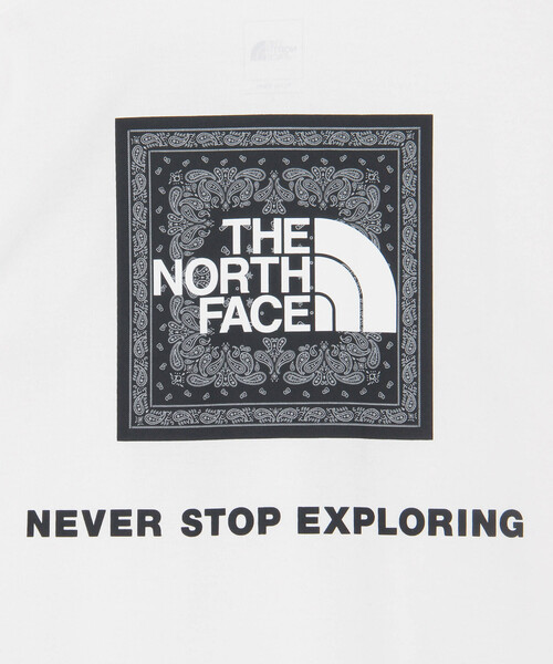 THE NORTH FACE(ザノースフェイス)の「THE NORTH FACE/ザ・ノース・フェイス Short Sleeve Bandana Square Logo Tee/ショートスリーブ バンダナ スクエア ロゴ Tシャツ 限定展開(Tシャツ/カットソー・メンズ・ネイビー/ホワイト/チャコールグレー/ブラック/グレー・MEDIUM/X-LARGE/LARGE/SMALL)」の19枚目の写真