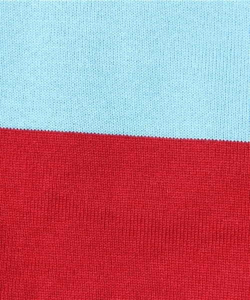 WEGO(ウィゴー)の「WEGO/ラガーボーダーTee(Tシャツ/カットソー・メンズ・グリーン/ネイビー/レッド・MEDIUM/LARGE)」の9枚目の写真