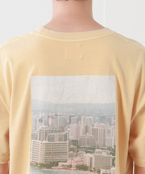 SALVAGE PUBLIC(サルベージパブリック)の「【SALVAGE PUBLIC/サルベージパブリック×DESMOND×JS】別注 プリントTシャツI(Tシャツ/カットソー・メンズ・グリーン/タン・MEDIUM/LARGE)」の5枚目の写真