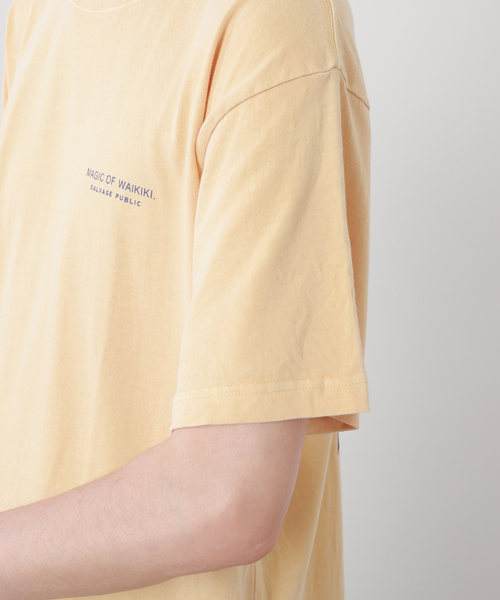 SALVAGE PUBLIC(サルベージパブリック)の「【SALVAGE PUBLIC/サルベージパブリック×DESMOND×JS】別注 プリントTシャツI(Tシャツ/カットソー・メンズ・グリーン/タン・MEDIUM/LARGE)」の18枚目の写真