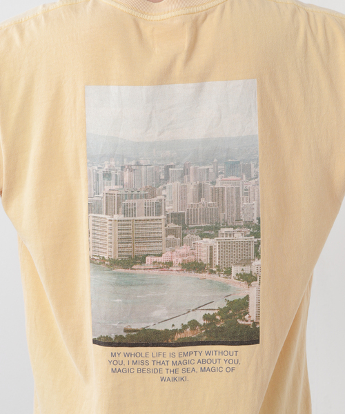 SALVAGE PUBLIC(サルベージパブリック)の「【SALVAGE PUBLIC/サルベージパブリック×DESMOND×JS】別注 プリントTシャツI(Tシャツ/カットソー・メンズ・グリーン/タン・MEDIUM/LARGE)」の16枚目の写真