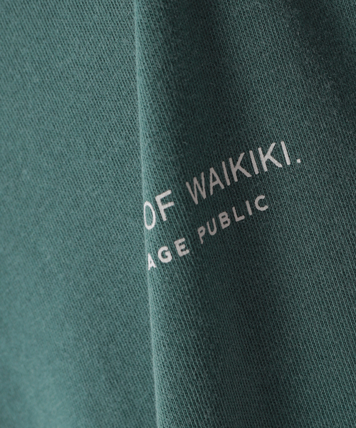 SALVAGE PUBLIC(サルベージパブリック)の「【SALVAGE PUBLIC/サルベージパブリック×DESMOND×JS】別注 プリントTシャツI(Tシャツ/カットソー・メンズ・グリーン/タン・MEDIUM/LARGE)」の14枚目の写真