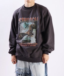裏毛 グラフィック プリント クルーネック 長袖スウェット