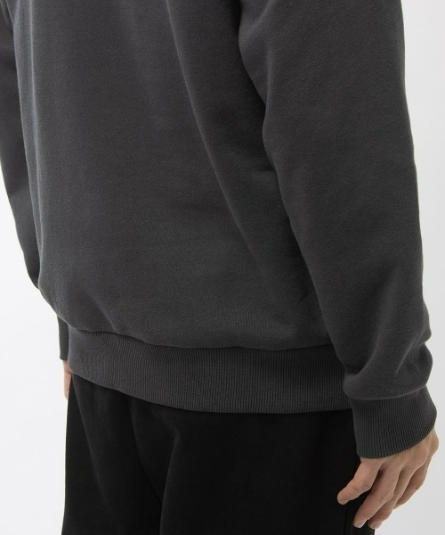 Reebok(リーボック)の「クラシック 1/4 ジップ スウェット / CLASSIC AE 1/4 ZIP SWEAT(スウェット・メンズ・オフホワイト/チャコールグレー・X-SMALL/LARGE/X-LARGE/SMALL/MEDIUM/XX-LARGE)」の14枚目の写真