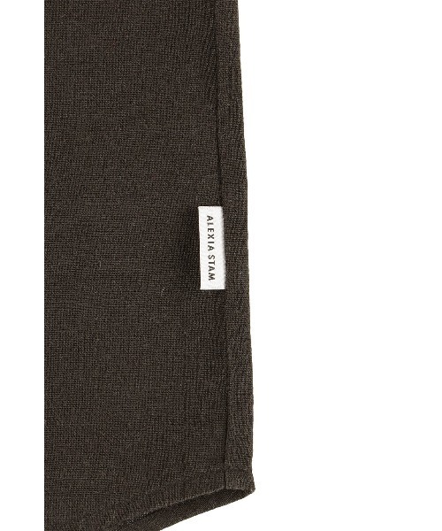 ALEXIA STAM（アリシアスタン）の「Relax Shirt /リラックスシャツ（シャツ/ブラウス・レディース・ブラウン/ブラック/ストライプ/ベージュ・FREE）」の22枚目の写真