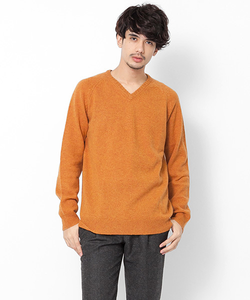 SENSE OF PLACE by URBAN RESEARCH（センスオブプレイスバイアーバンリサーチ）の「ラムVネック（ニット/セーター・メンズ・ブルー/レッド/ゴールド/ブラック/チャコール/グリーン・38/40）」の6枚目の写真