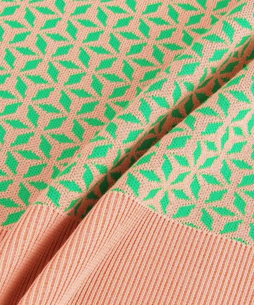ROPE'(ロペ)の「ジャカードノースリーブニット(ベスト・レディース・グリーン系その他/ブルー系その他5/オレンジ系その他2・38)」の11枚目の写真