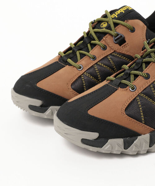 TIMBERLAND / Trail Quest Low