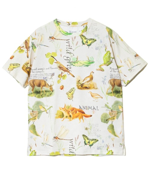 USA/C 総柄図鑑 TEE(Tシャツ/カットソー)|go slow caravan(ゴースローキャラバン)