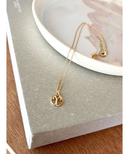 Ungrid（アングリッド）の「Ariesネックレス（ネックレス・レディース・ゴールド・FREE）」の9枚目の写真