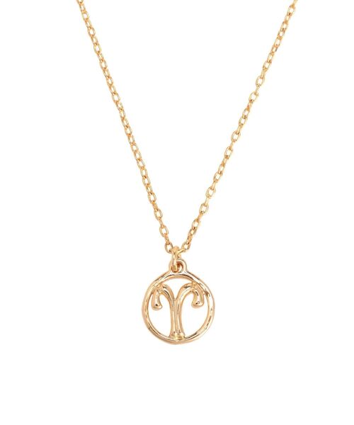 Ungrid（アングリッド）の「Ariesネックレス（ネックレス・レディース・ゴールド・FREE）」の11枚目の写真