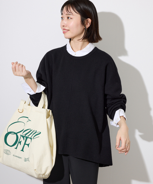 SLOBE IENA(スローブイエナ)の「《セットアップ対応可/追加》ウォッシャブルスムース クルーネックプルオーバー(ニット/セーター・レディース・ブラウン/ピンク/ブラック/アイボリー・FREE)」の1枚目の写真