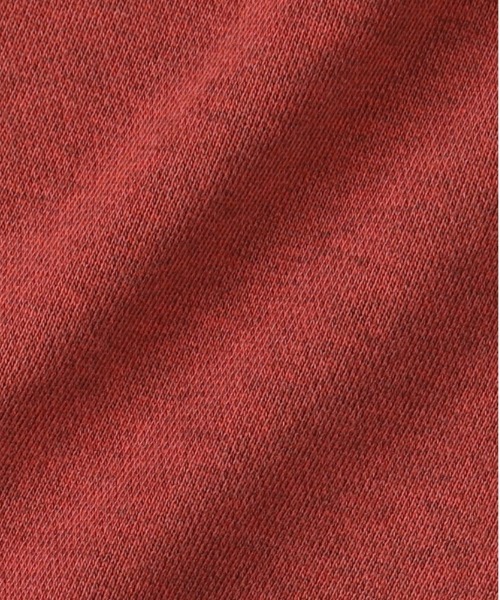 Levi's(リーバイス)の「Levi's(リーバイス)【メンズ】ジップパーカー(スウェット・メンズ・レッド・S/L/M)」の10枚目の写真