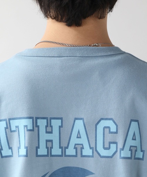 SIGNAL SPORTS（シグナルスポーツ）の「【SIGNAL SPORTS】カレッジロゴプリントTシャツ（Tシャツ/カットソー・メンズ・ホワイト/ライトブルー/イエロー/レッド/グリーン・MEDIUM/LARGE/X-LARGE）」の10枚目の写真