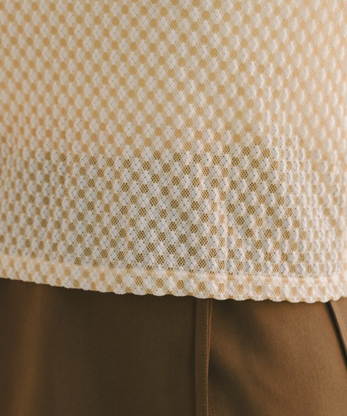 Kastane（カスタネ）の「【2023AWアイテム】トリコットレースプルオーバー（Tシャツ/カットソー・レディース・ブラウン/グレー/アイボリー・FREE）」の15枚目の写真