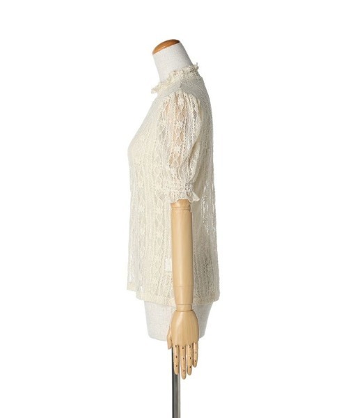 F i.n.t（フィント）の「ストライプフラワーレースシアートップス/F&A/fint（Tシャツ/カットソー・レディース・オフホワイト/アイボリー・FREE）」の21枚目の写真