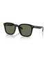 Ray-Ban（レイバン）の「Ray-Ban レイバン サングラス Dmodels 0RB4392D (偏光レンズ・アジアンデザインモデル・ローブリッジフィット)（サングラス・66）」