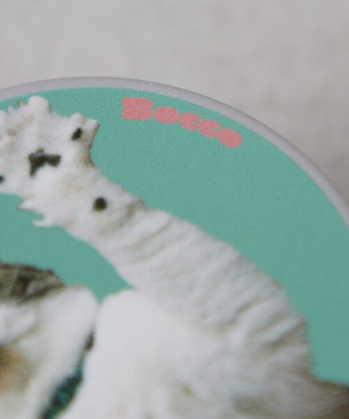 BIRTHDAY BAR(バースデイバー)の「Pechanko Cats 缶入りマルチにゃんクリーム(ハンドケア/ハンドクリーム・レディース・ブルー/イエロー/グリーン・0)」の11枚目の写真