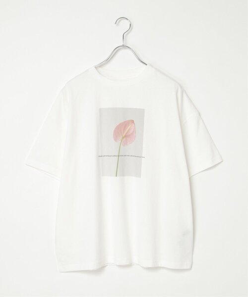VENCEEXCHANGE(ヴァンスエクスチェンジ)の「綿天竺フラワープリントTシャツ(Tシャツ/カットソー・レディース・その他1/ブラック/オフホワイト・FREE)」の21枚目の写真