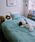 CasseliniiLZ[jj́uCasselini HOME(LZ[j z[)XgCvzcJo[ZbgiQjvbu[