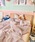 CasseliniiLZ[jj́uCasselini HOME(LZ[j z[)XgCvzcJo[ZbgiQjvbR[