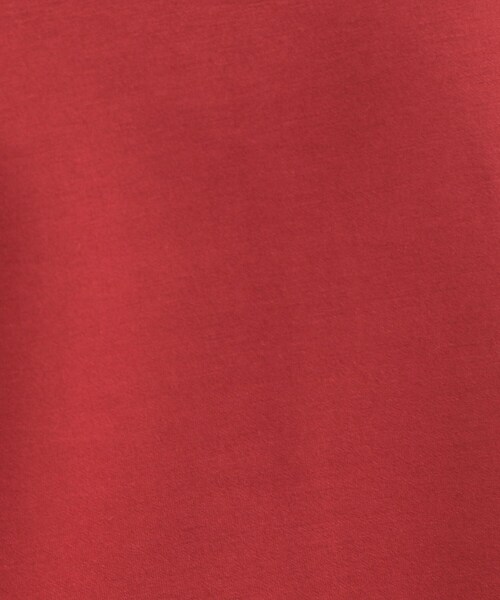 DRESKIP（ドレスキップ）の「【S-LL】大人のデイリースタイルに お袖タック フェイクパール付きトップス（Tシャツ/カットソー・レディース・アイボリー/レッド系1/ダークブラウン/チャコールグレー・02/01/04/03）」の17枚目の写真