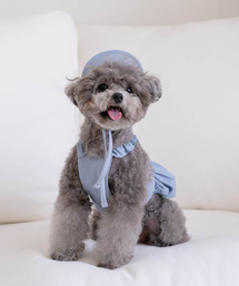 MY LITTLE DOG（マイ リトル ドッグ）の「Aurora Denim Sun Visor - Blue（ペットウェア）」
