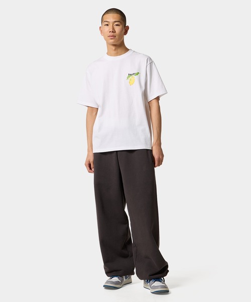 HUF(ハフ)の「SOUR LEMON TEE(Tシャツ/カットソー・メンズ・ブラック/ライトブルー/ホワイト/ネイビー/グレイッシュベージュ・S/M/L/XL/XXL)」の14枚目の写真