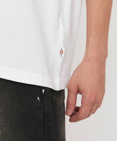 Dickies(ディッキーズ)の「Dickies/ディッキ-ズ トーリーTシャツ/ロゴTシャツ/半袖Tシャツ(Tシャツ/カットソー・メンズ・ホワイト/ブラウン・MEDIUM/LARGE/X-LARGE/SMALL)」の18枚目の写真