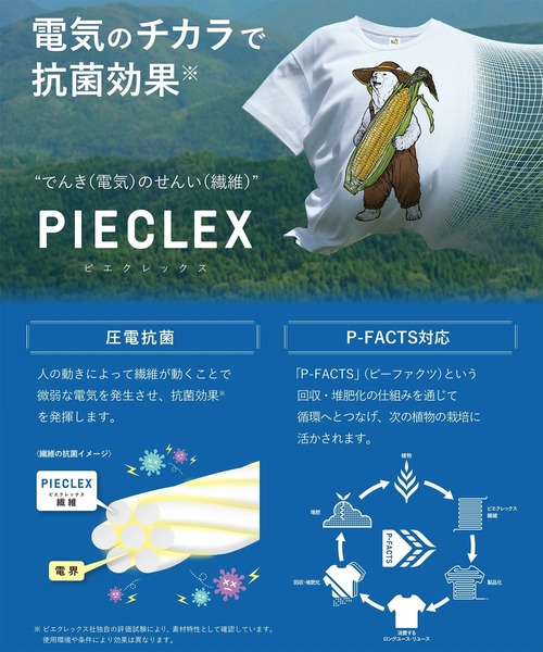 go slow caravan(ゴースローキャラバン)の「PIECLEX とうもろこし刺繍 TEE(Tシャツ/カットソー・メンズ・ブルー/ホワイト・MEDIUM/LARGE/X-LARGE)」の13枚目の写真