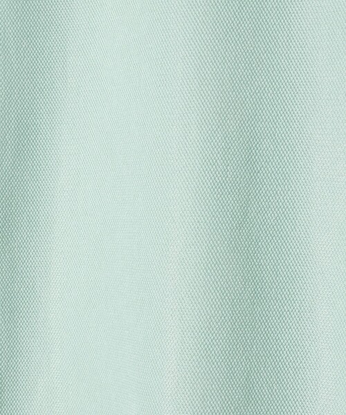 green label relaxing(グリーンレーベルリラクシング)の「シアー メッシュ クルーネック プルオーバー カットソー(Tシャツ/カットソー・レディース・ライム/オフホワイト/ブラック/ダークブラウン・FREE)」の12枚目の写真
