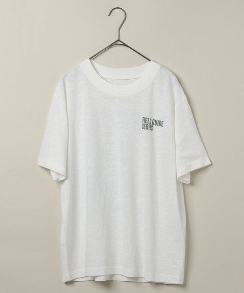 studio CLIP(スタディオクリップ)の「【daily CLIP】bird guide BIGTシャツ(Tシャツ/カットソー・レディース・ホワイト/ネイビー/ボルドー・FREE)」の19枚目の写真