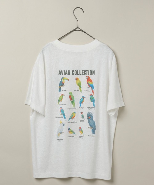 studio CLIP(スタディオクリップ)の「【daily CLIP】bird guide BIGTシャツ(Tシャツ/カットソー・レディース・ホワイト/ネイビー/ボルドー・FREE)」の18枚目の写真