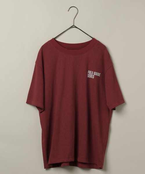 studio CLIP(スタディオクリップ)の「【daily CLIP】bird guide BIGTシャツ(Tシャツ/カットソー・レディース・ホワイト/ネイビー/ボルドー・FREE)」の17枚目の写真
