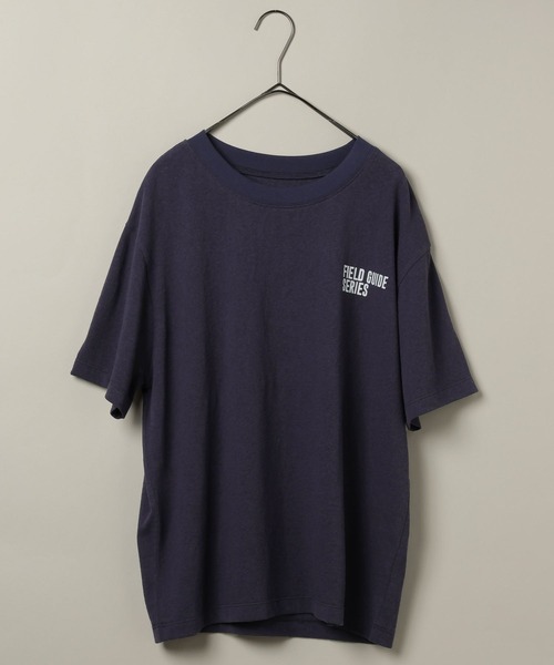 studio CLIP(スタディオクリップ)の「【daily CLIP】bird guide BIGTシャツ(Tシャツ/カットソー・レディース・ホワイト/ネイビー/ボルドー・FREE)」の16枚目の写真