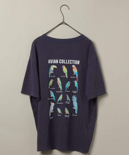 studio CLIP(スタディオクリップ)の「【daily CLIP】bird guide BIGTシャツ(Tシャツ/カットソー・レディース・ホワイト/ネイビー/ボルドー・FREE)」の15枚目の写真