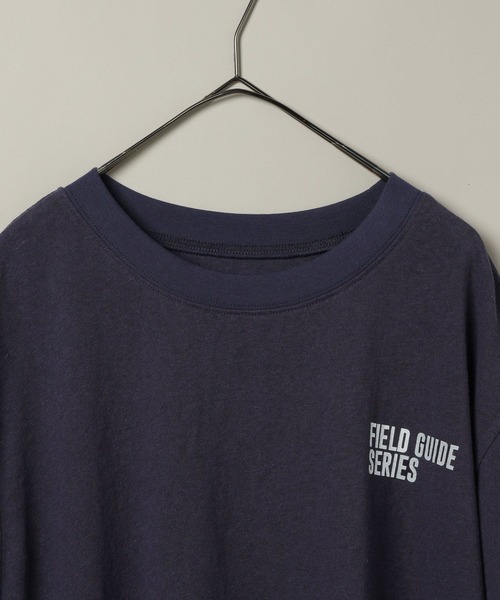 studio CLIP(スタディオクリップ)の「【daily CLIP】bird guide BIGTシャツ(Tシャツ/カットソー・レディース・ホワイト/ネイビー/ボルドー・FREE)」の14枚目の写真