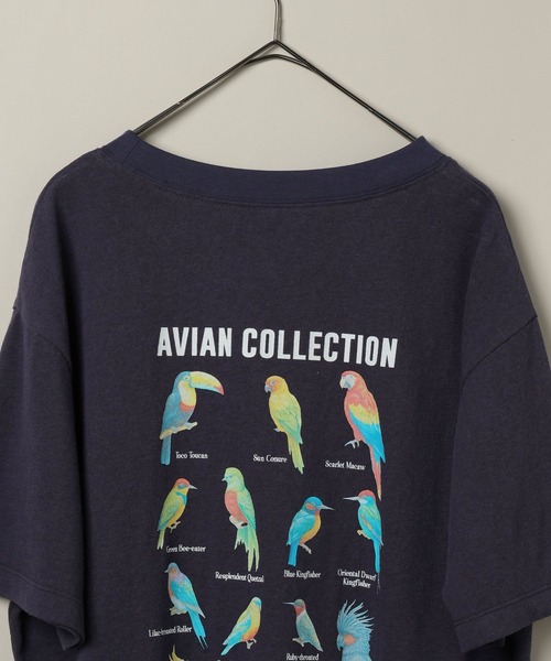 studio CLIP(スタディオクリップ)の「【daily CLIP】bird guide BIGTシャツ(Tシャツ/カットソー・レディース・ホワイト/ネイビー/ボルドー・FREE)」の11枚目の写真