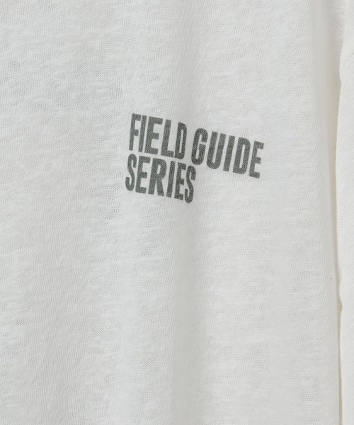 studio CLIP(スタディオクリップ)の「【daily CLIP】bird guide BIGTシャツ(Tシャツ/カットソー・レディース・ホワイト/ネイビー/ボルドー・FREE)」の10枚目の写真